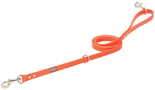Terrain D.O.G. Brahma Webb Hunting Dog Leash, 3/4" by 6', Blaze Orange