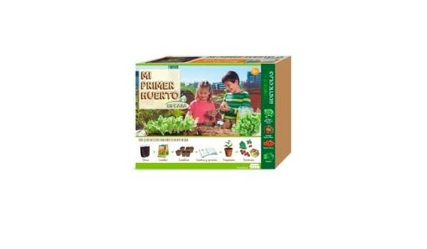 Mi primer huerto: Amazon.es: Jardín