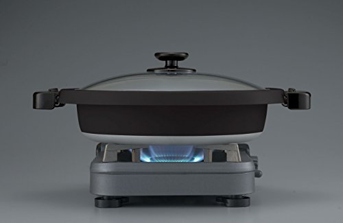 5 Zojirushi+EP+RAC50+Gourmet+1350+Watt+Electric