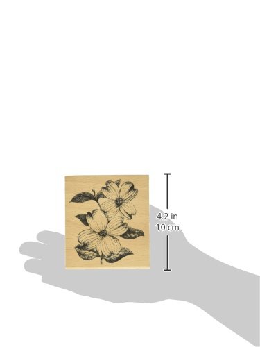 Hampton Art Cam & Chloe Dogwood Flowers Mounted Stamp, 4 x 3.5"