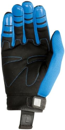 Amazon.com : Burton Mens Gondy Gore-Tex Leather Mitten, True Black