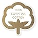 European Square Pillow Shams Set of 2 Pillow Cover Case Euro Sham 26x26 White Solid Decorative Soft 100% Egyptian Cotton in 600 Thread Count (European 26X26, White)