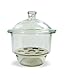 American Educational Glass Desiccator with Porcelain Plate, 200mm ID