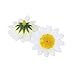 Supla 100Pcs Artificial Silk Gerbera Daisy Flower Heads 1.5 inch DIY Wreath Gift Box Scrapbooking Craft (without stem) (white)