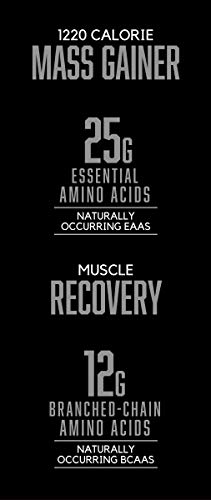2 BSN+TRUE+MASS+Protein+Chocolate+Milkshake