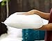 Foamily Throw Pillows Insert 20 x 20 Inches Hypoallergenic, Made in USA - Decorative Couch, Bed Filler