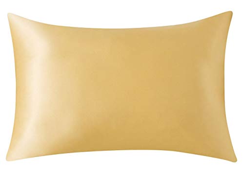 SLPBABY 100% Natural Pure Silk Pillowcase for Hair and Skin, Both Side 19 Momme Silk, Luxury Smooth Satin Pillowcase Cover with Hidden Zipper (Standard(20''x26''), Gold)