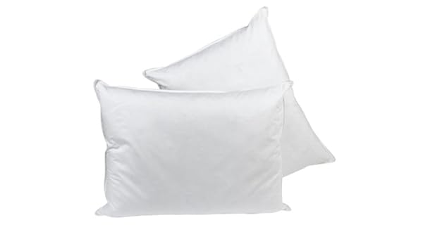 Amazon Com Serta Quilted Feather Pillows Set Of Two Home Kitchen
