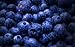 Virgin Extracts (TM) Pure Premium Organic Freeze Dried Blueberry Powder Extract 4:1 Concentrate (4 X Stronger) Superfood 8oz Pouch