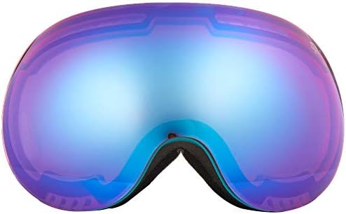 native snow goggles