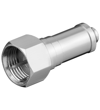 3197YC6wgiL.jpg