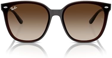 Amazon.com: Ray-Ban RB4392D Sunglasses, Black/Blue, 66 mm
