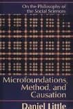 Microfoundations, Methods, and Causation : On the Philosophy of the Social Sciences, Little, Daniel, 1560003693