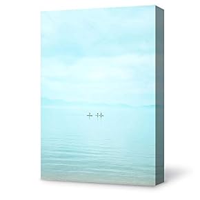 SIGNFORD Canvas Wall Art for Living Room,Bedroom Home...