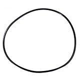 Pentair O-RING Clamp 4000 Series Lid # 071439