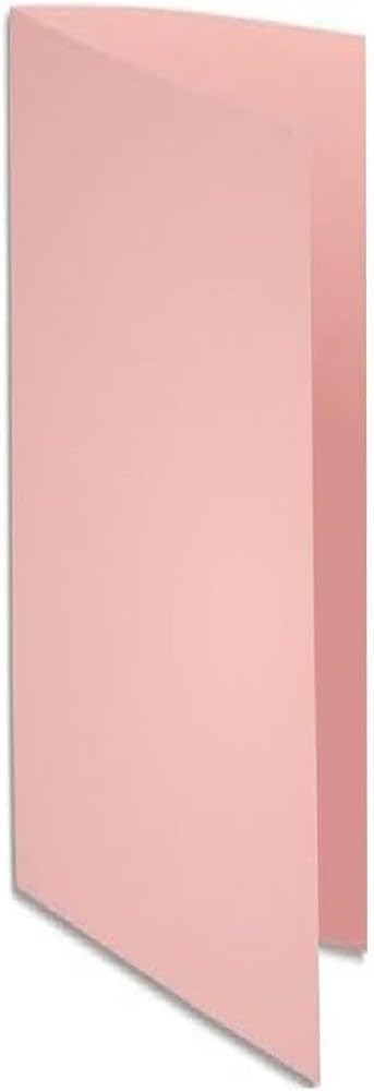 Paquet 100 chemises nature future jura 250