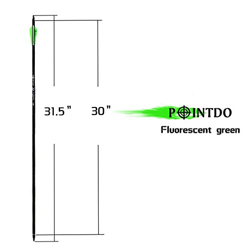 Pointdo 12pcs 30Inch Archery Carbon Arrow Hunting And Practice Targeting Arrow with Replaceable Tips and 3" Light Vanes For Recurve Bow& Compound Bow