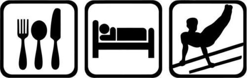 Eat Sleep Gymnastic Parallel Bars Graphic Car Truck Windows Decor Decal Sticker - Die cut vinyl decal for windows, cars, trucks, tool boxes, laptops, MacBook - virtually any hard, smooth surface