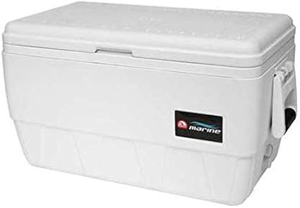 amazon cooler