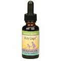Herbs For Kids Minty Ginger Blend 1 oz ( Multi-Pack)