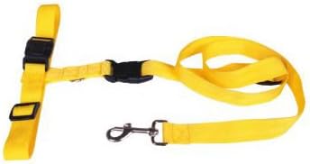 Hands Free Dog Leash - Excellent for Training, Walking, Hiking, Running, Jogging - Heavy Duty Strap, Handle, Rope, Harness Lead Strap - Pet Collar, Adjustable - 6 ft (Yellow)