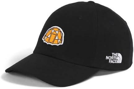 Brixton Men's Baseball Cap Black – with Adjustable Snapback at