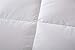 Luxurious All Seasons White Goose Down Comforter-Solid White Hypo-allergenic Duvet Insert 1000 Thread Count , 700+Fill Power 100% Cotton Shell Down Proof With Tabs ( King, White / Lightweight Warmth )