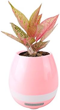 Bluetooth Speaker Novelty Smart Music Flower Pot Colorful Night Light Lamp Home Office Dector (Pink)