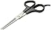 Four Paws Dog Grooming Thinning Shears