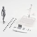 MiaoDuo Body Kun DX Set Female Action Figure Model Set for SHF Body Kun Doll PVC Body-Chan Figure Model SHF S H Figuarts