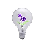 DarkSteve - Violet Decorative Light Bulb - Edison