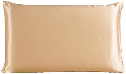 Olanby 100% Mulberry Silk Pillow Shams Cover with Hidden Zipper Pillowcase (King, Champagne)