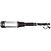 ECCPP Air Suspension Strut Spring Air Shock Absorber 1Pcs Rear Fit for 2006 for Mercedes-Benz S350 /2000-06 for Mercedes-Benz S430 /2000-06 for Mercedes-Benz S500 /2001-06 for Mercedes-Benz S55 AMG