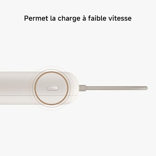 Power Bank 10000mAh, Batterie Externe de Poche Rapide 22,5 W Max, Compatible avec Plusieurs appareils, Charge Rapide bidirectionnelle de Type C, Sortie à Trois Ports, pour iPhone,Samsung, Tan