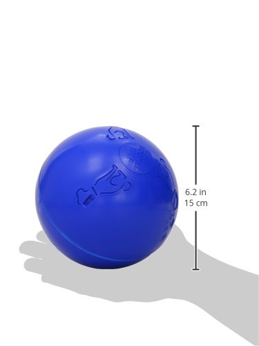 TCOA Boomer Ball Med 6" colors may vary