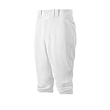 Mizuno Men's Premier Short Pant (White, Large)