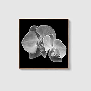 Framed Canvas Home Artwork Decoration Beautiful Flower Canvas Wall Art for Living Room, Bedroom - 16x16 inches
