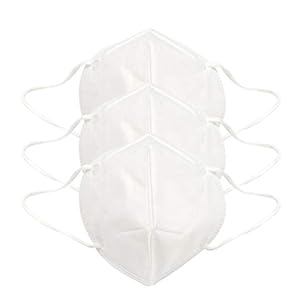 F Gear N95 White Face Mask Pack of 3 (3640)