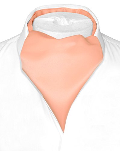 Vesuvio Napoli ASCOT Solid PEACH Color Cravat Men's Neck Tie