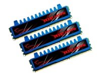 G.Skill Ripjaws 12 GB