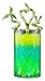 JellyBeadZ Brand - 8 Ounce Package - Almost 15,000 - Heat Sealed Bag- Water Pearls Gel Beads- Wedding & Event Centerpieces- Lemon Yellow
