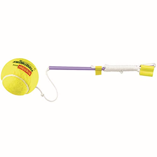 2 Swingball+Tennis+Ball+Tether+Set
