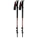Black Diamond Trail Trekking Poles