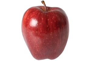 UNKNOWN RED DELICIOUS APPLES WASHINGTON STATE FRESH PRODUCE FRUIT PER POUND