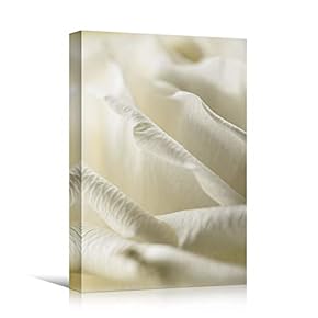 signwin Canvas Wall Art White Petal Close Up...