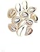 Sea Shell Cutted Hair Beads Cowrie Rasta Dreadlock Braid Decoration Beads Braiding[12pcs]