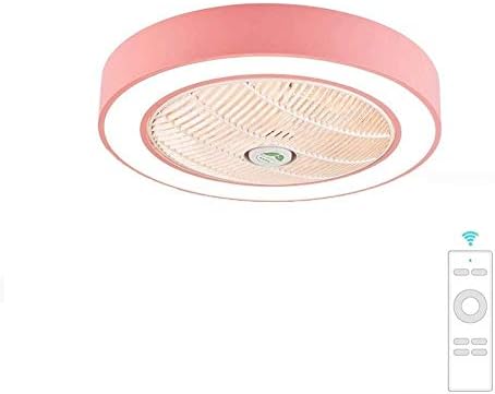 WSXXN Modern Ceiling Light with Fans Remote Hide Blades for Living Room Bedroom Restaurant, with Silent Motor Three-Speed ​​Dimming, 58cm (Color : B)
