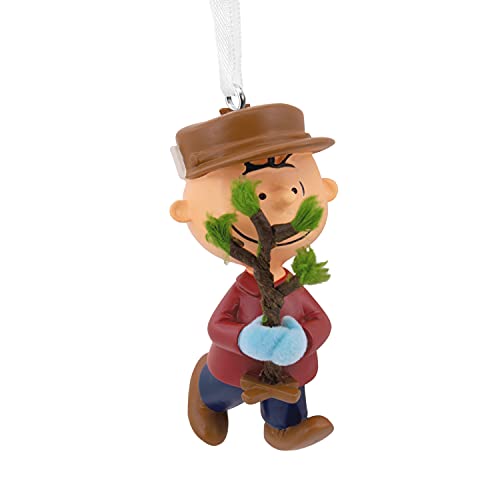 Hallmark Peanuts Charlie Brown with Tree Christmas