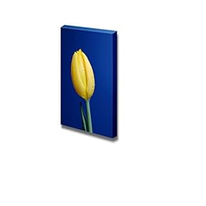 Canvas Prints Wall Art - Tulip Sprinkled with Drops of Water | Modern Wall Decor/Home Art Stretched Gallery Canvas Wraps Giclee Print & Ready to Hang - 18" x 12"