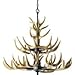 Twelve Light Deer Antler Chandelier Lighting, 36in. Chain